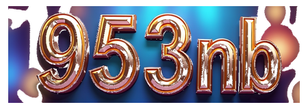 9553nb logo